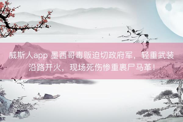 威斯人app 墨西哥毒贩迫切政府军,轻重武装沿路开火,现场死伤惨重裹尸马革!