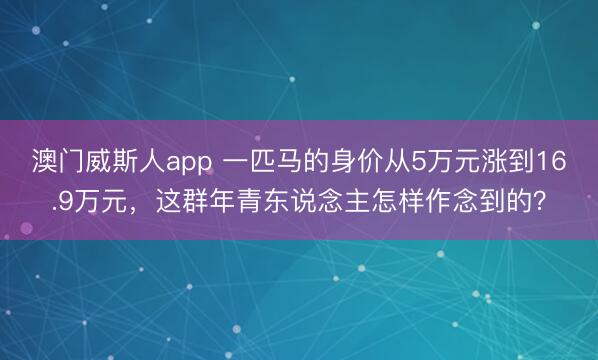 澳门威斯人app 一匹马的身价从5万元涨到16.9万元，这群年青东说念主怎样作念到的？