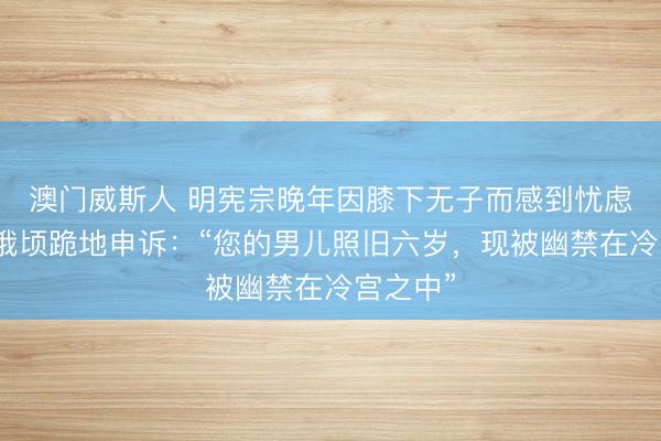 澳门威斯人 明宪宗晚年因膝下无子而感到忧虑，太监俄顷跪地申诉：“您的男儿照旧六岁，现被幽禁在冷宫之中”