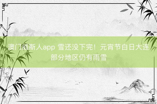 澳门威斯人app 雪还没下完！元宵节白日大连部分地区仍有雨雪