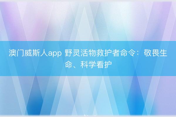 澳门威斯人app 野灵活物救护者命令：敬畏生命、科学看护