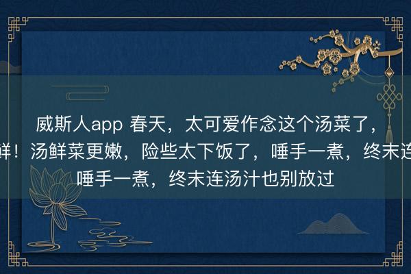 威斯人app 春天,太可爱作念这个汤菜了,大要搭配一锅鲜!汤鲜菜更嫩,险些太下饭了,唾手一煮,终末连汤汁也别放过